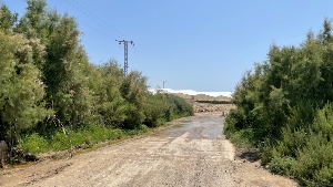 04_10_2023_Adjudicadas las obras de los caminos El Benzal y Puntas de Calnegre (5)