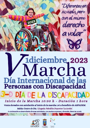 29_11_2023_V Marcha Día Internacional de las Personas con Discapacidad (1)