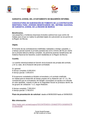 11_06_2020 SUBVENCION A LA COTRATACION_page-0001