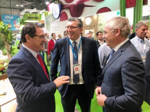 24_10_2019 FRUIT ATTRACTION (16) 24_10_2019 FRUIT ATTRACTION (16)