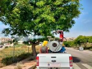 03-06-22 FUMIGACIONES (2) 03-06-22 FUMIGACIONES (2)