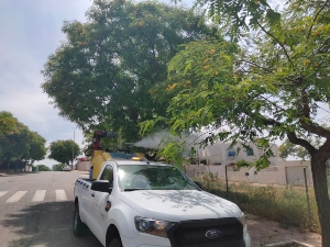 03-06-22 FUMIGACIONES (3) 03-06-22 FUMIGACIONES (3)