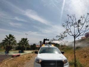 03-06-22 FUMIGACIONES (4) 03-06-22 FUMIGACIONES (4)