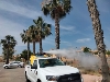 Mazarron Town Hall continues early summer mosquito spraying as the heat rises