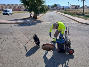 7_7_2025_Control_Plagas_001 7_7_2025_Control_Plagas_001