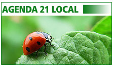 Agenda 21 Local