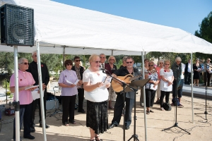 11_11_2015_DÍADELARMISTICIO (22)