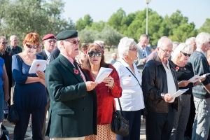 11_11_2015_DÍADELARMISTICIO (3)