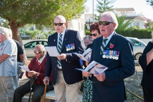 11_11_2015_DÍADELARMISTICIO (5)