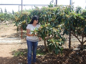 CULTIVOS SUBTROPICALES MENDEZ (3)