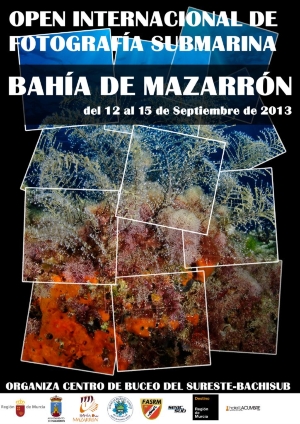 OPEN INTERNACIONAL FOTOSUB BAHIA MAZARRON  01