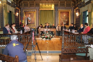 PLENO_DICIEMBRE_2013_x1x