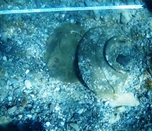 06_09_2019 HALLAZGO FENICIO (9)