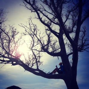 CLAUSURA SEMANA CULTURAL DIA DEL LIBRO 04