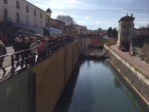 29_01_2016_VIAJELETURCALASPARRA (12)