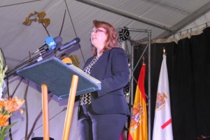 14_11_2014_PREGONBOLNUEVO201422