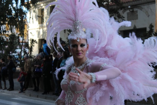 23_02_2015_DESFILECARNAVALVISITANTES057