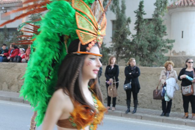 23_02_2015_DESFILECARNAVALVISITANTES133