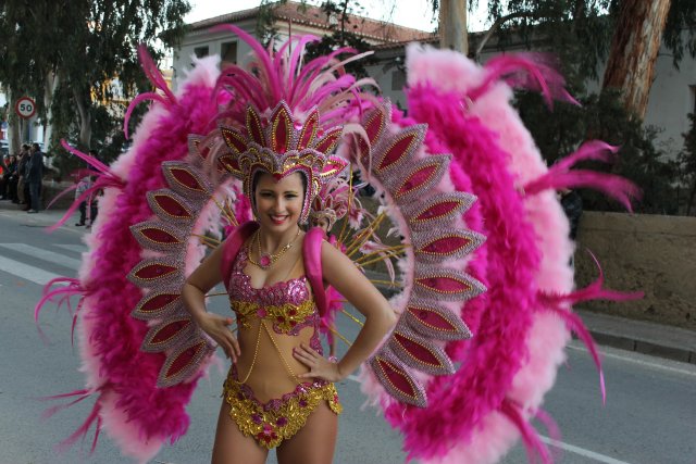 23_02_2015_DESFILECARNAVALVISITANTES206