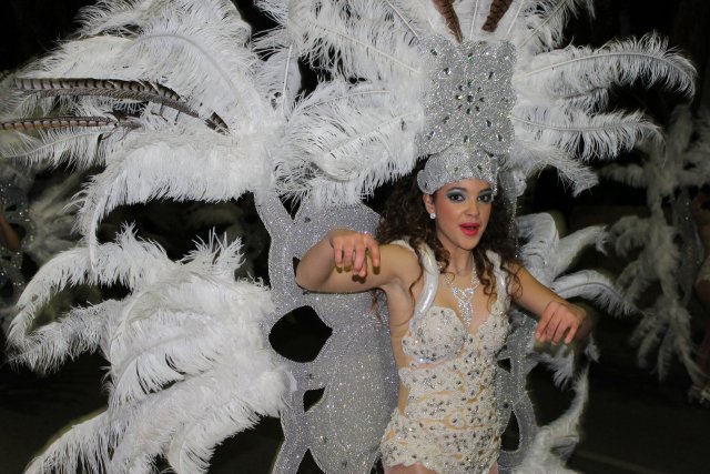 23_02_2015_DESFILECARNAVALVISITANTES291