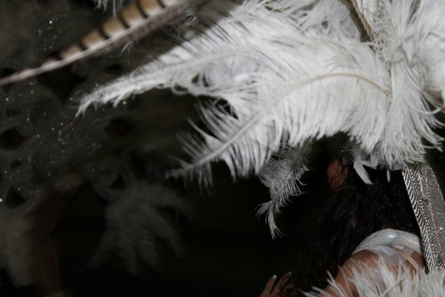 23_02_2015_DESFILECARNAVALVISITANTES310