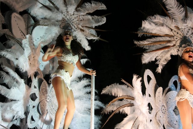 23_02_2015_DESFILECARNAVALVISITANTES318