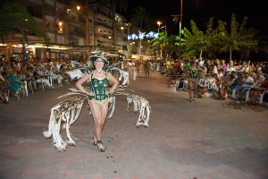 03_08_2015_CARNAVALVERANO (1)