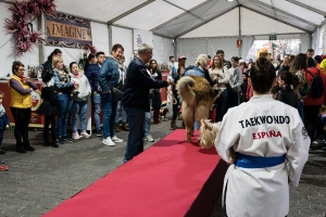 04_03_2020 CARNAVAL MASCOTAS (2)