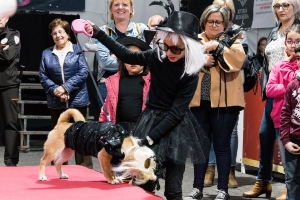 04_03_2020 CARNAVAL MASCOTAS (4)