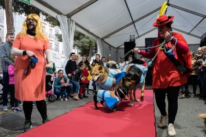 04_03_2020 CARNAVAL MASCOTAS (5)