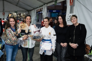 04_03_2020 CARNAVAL MASCOTAS (9)