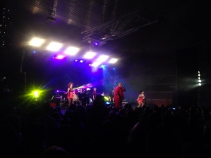 23_02_2015_CONCIERTOKINGAFRICA379