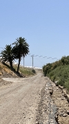 Adjudicadas las obras de rehabilitación y pavimentación de los caminos 'El Benzal' y 'Puntas de Calnegre' en Cañada de Gallego