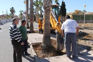 SERVICIOS SEMANA SANTA 2013 (6) SERVICIOS SEMANA SANTA 2013 (6)