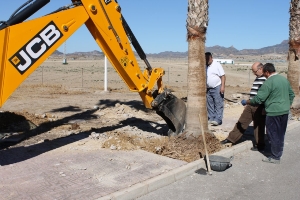 SERVICIOS SEMANA SANTA 2013 (7) SERVICIOS SEMANA SANTA 2013 (7)