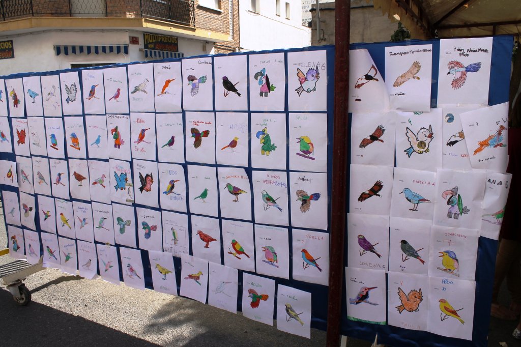 2012 DIA MUNDIAL DE LAS AVES (6)