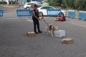 21-06-22 EXHIBICIÓN UNIDAD CANINA (6)