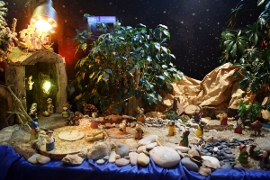 11_12_2020 BELEN ASPADEM (3)