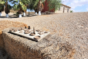 22-09-22 CONVIVENCIA ALZHEIMER (47)