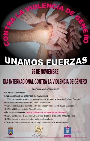 DIA VIOLENCIA DE GENERO (2)