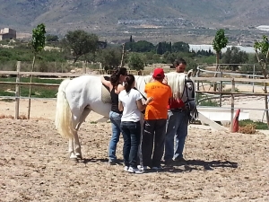 EQUINOTERAPIA (1)