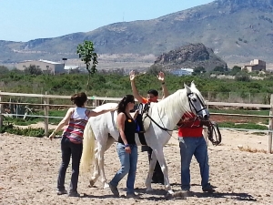EQUINOTERAPIA (3)