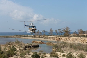 04_JULIO_2014_CAMAPAÑAMOSQUITOS37 04_JULIO_2014_CAMAPAÑAMOSQUITOS37