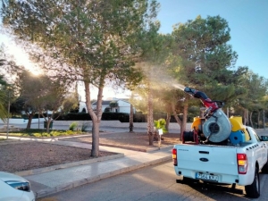 14_01_25_procesionaria2 14_01_25_procesionaria2