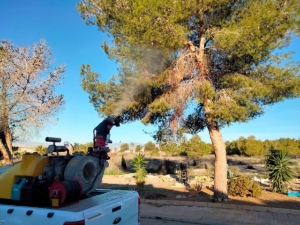 14_01_25_procesionaria3 14_01_25_procesionaria3