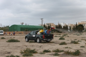 14_08_2014_MOSQUITOS212 14_08_2014_MOSQUITOS212