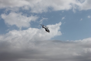 14_08_2014_MOSQUITOS222 14_08_2014_MOSQUITOS222