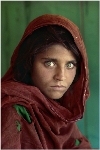 STEVE McCURRY REPLACES TO FRANS LANTING IN FOTOGENIO