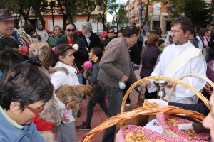 BENDICION SAN ANTON 2012 (4)