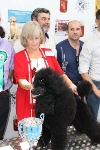 150 EJEMPLARES DESTACAN POR SU ELEVADO NIVEL TÉCNICO EN EL II CONCURSO NACIONAL CANINO DE MAZARRÓN